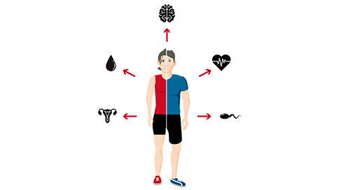 Konsekvenser ved brug af doping